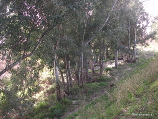 lle del Simeto-24-02-2013 10-33-54